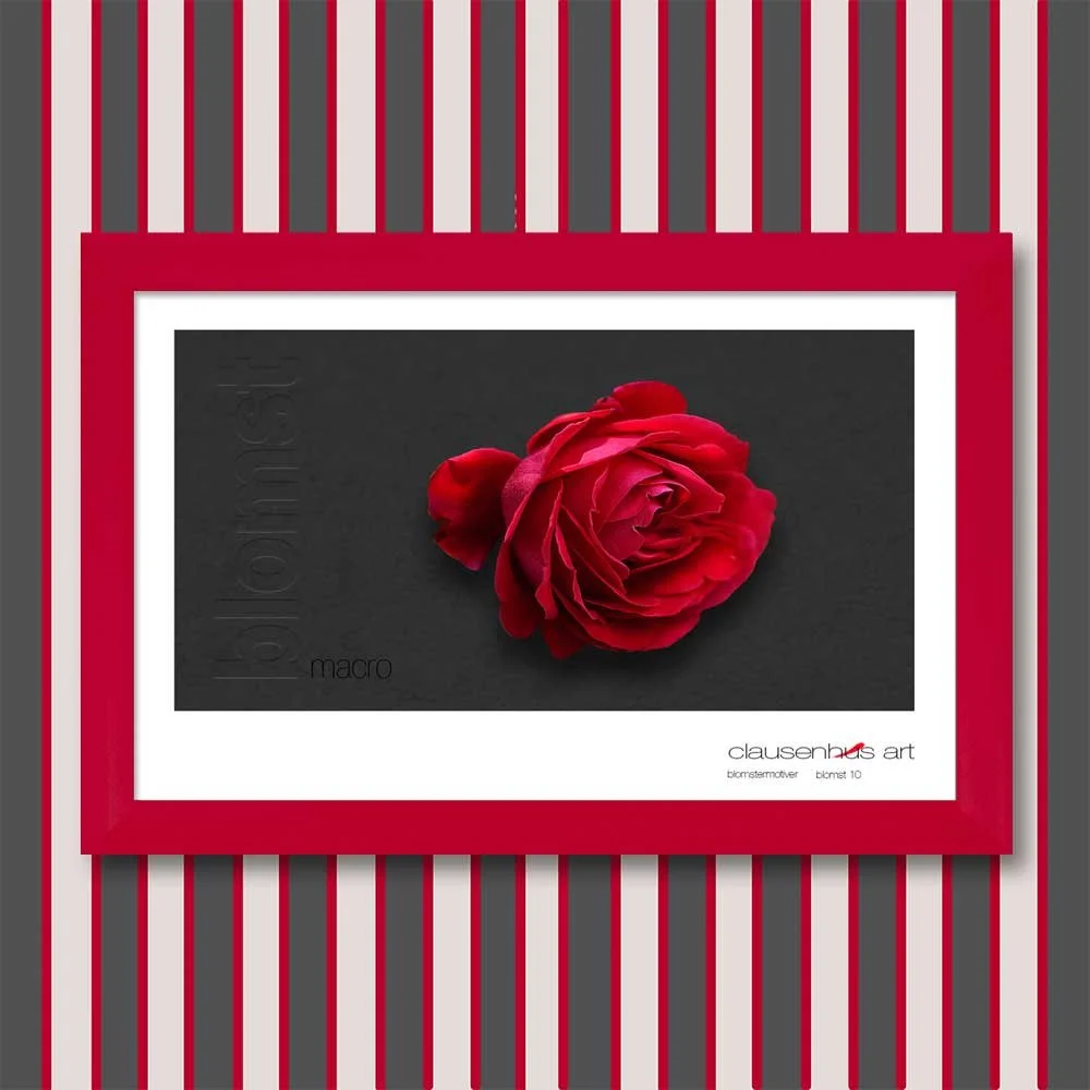 blomst-10.jpg
