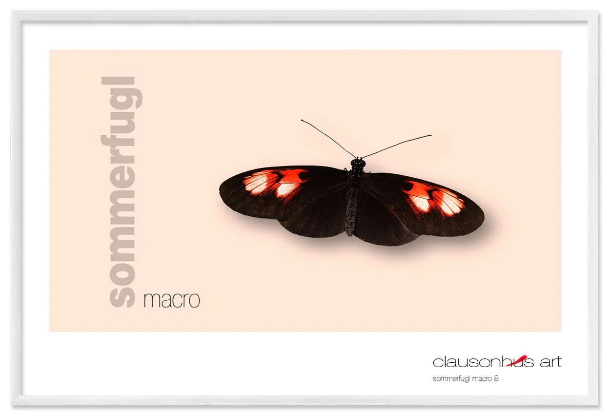sommerfugl-8-copy.jpg