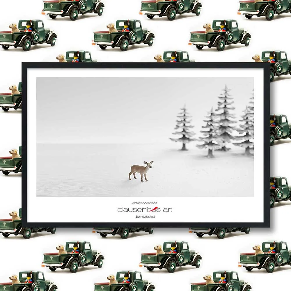 vinter-land-copy.jpg