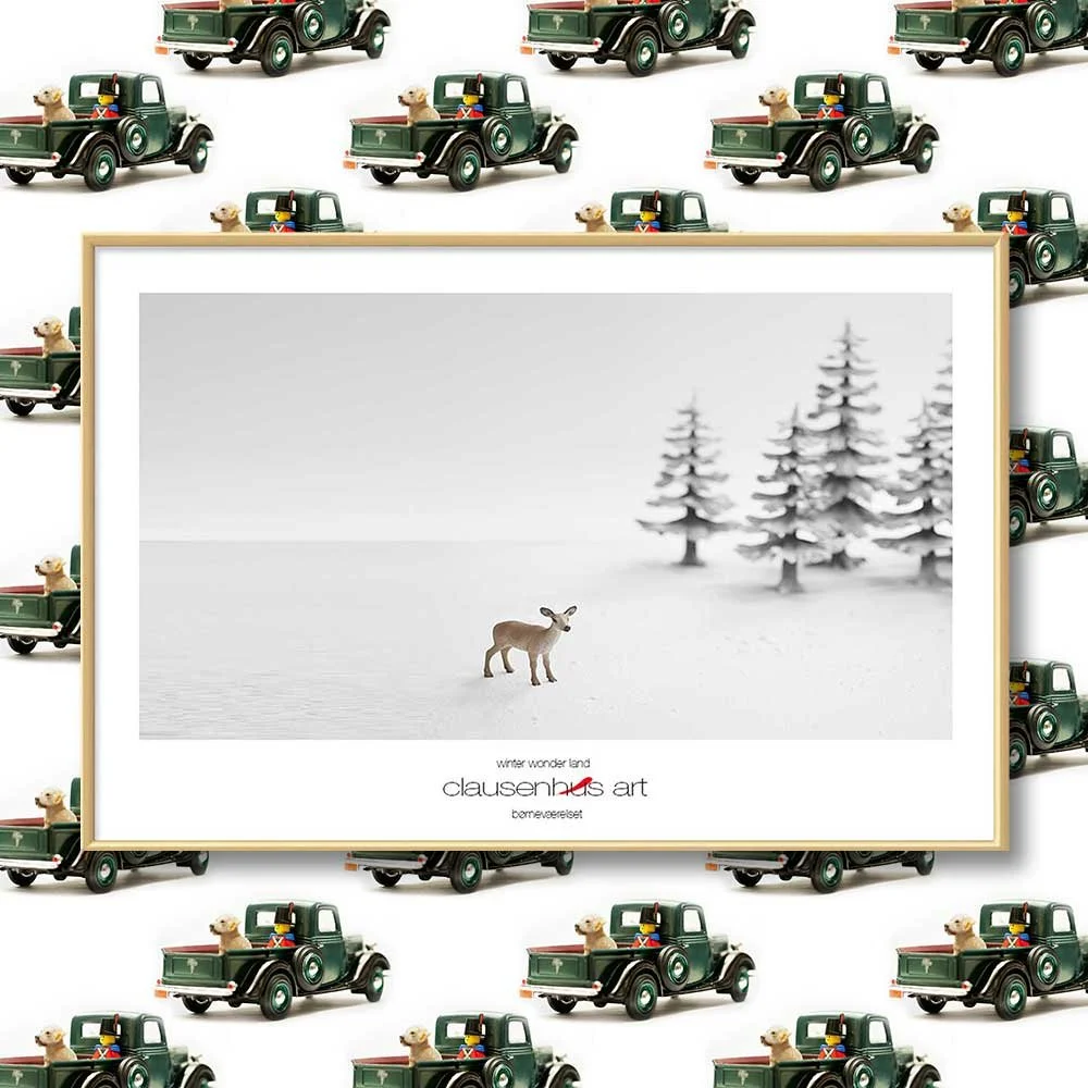 vinter-land-copy.jpg