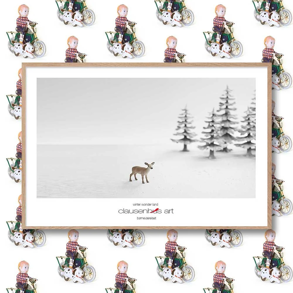 vinter-land-copy.jpg