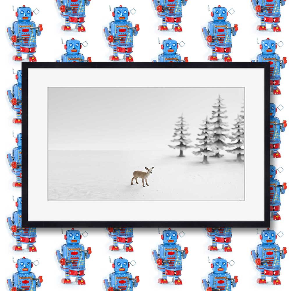 vinter-land.jpg