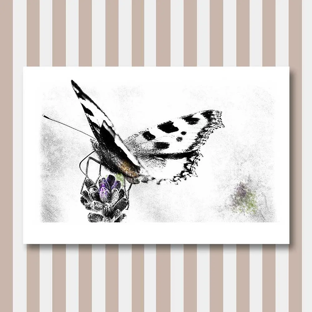 contemporary-macro-interpretation-2-copy.jpg