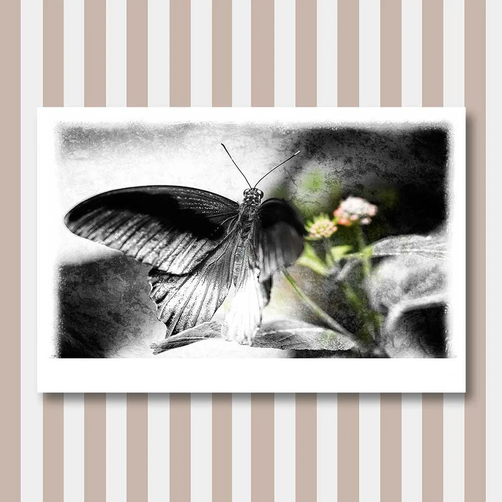 contemporary-macro-interpretation-4-copy.jpg