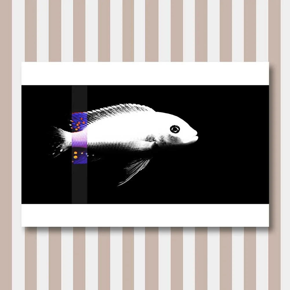 perception-6.jpg