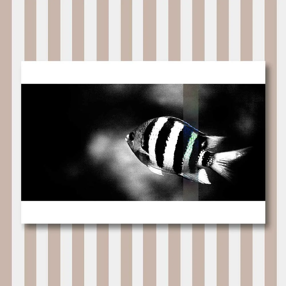 perception-9.jpg