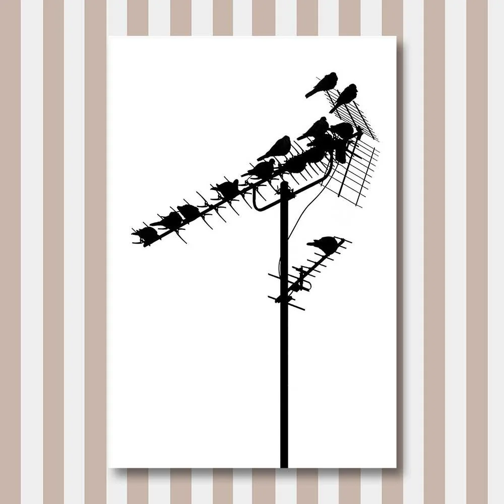 signal-amplification.jpg