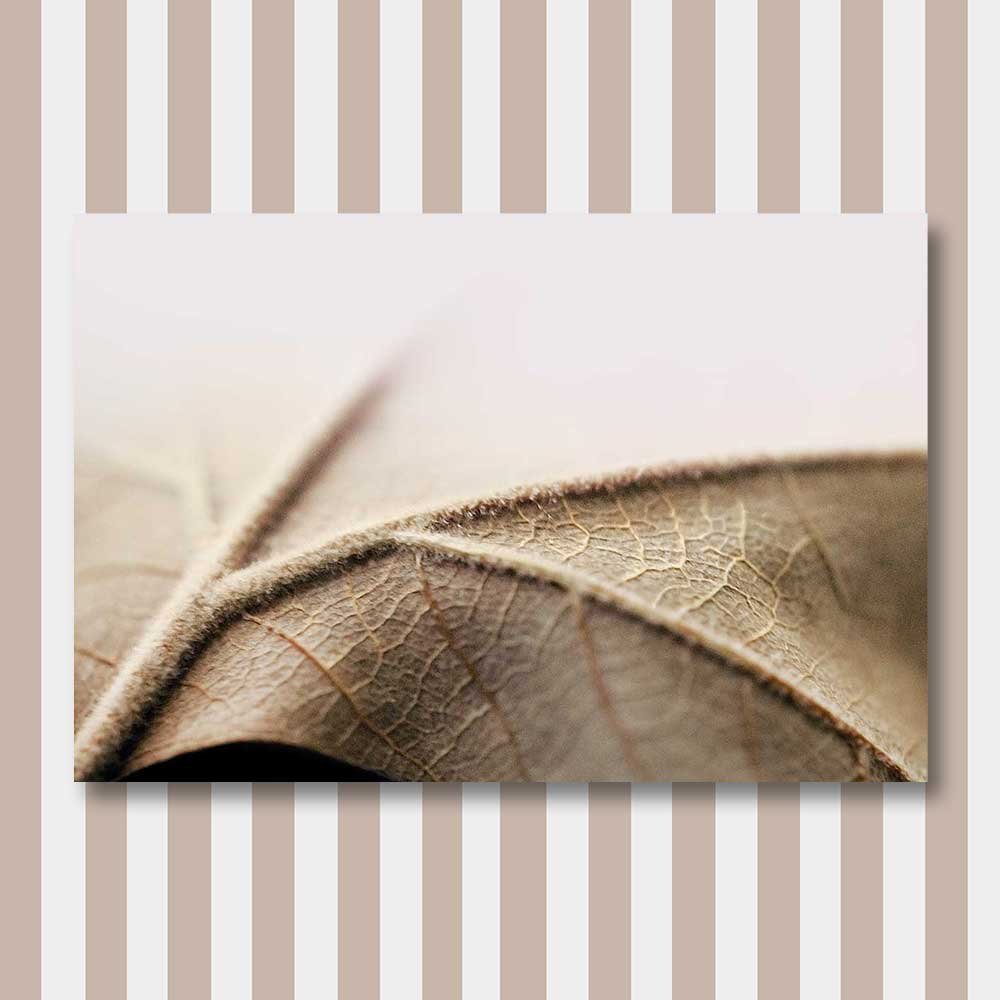 autumn-leaves.jpg