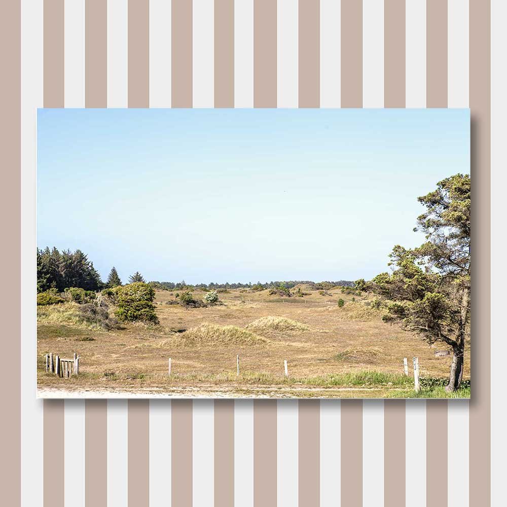 skallerup-indlandsklitter.jpg