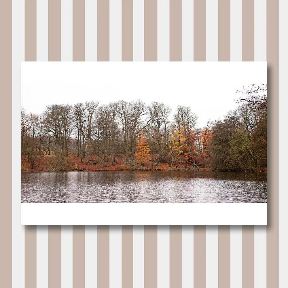 autumn-colors-copy.jpg
