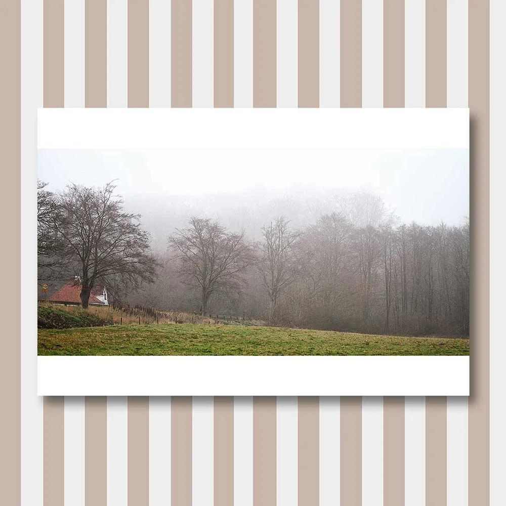 a-wet-and-foggy-december-day-1.jpg