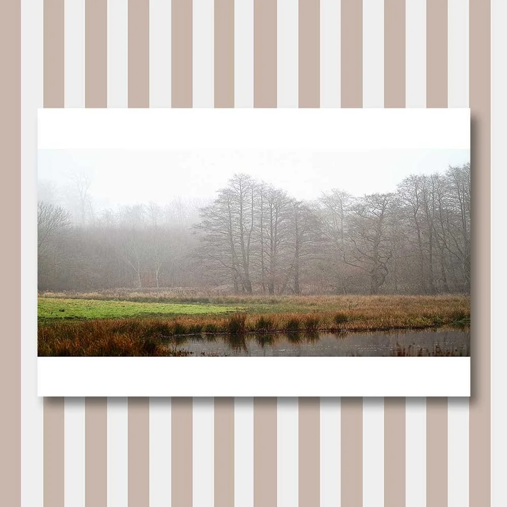 a-wet-and-foggy-december-day-2.jpg