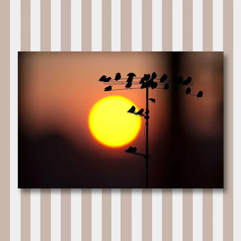 birds-at-sunrise.jpg