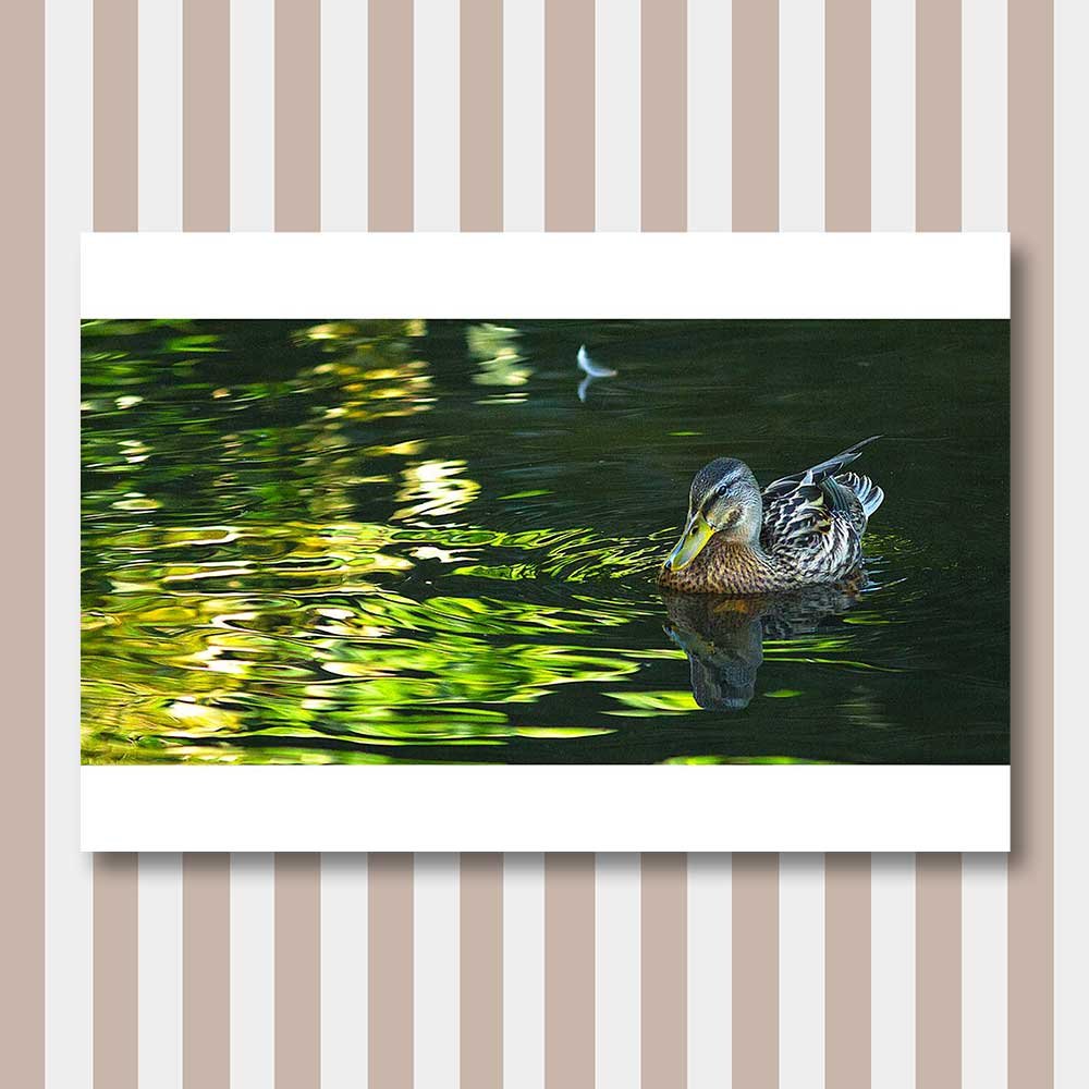 green-lake.jpg