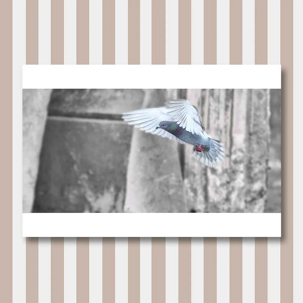 urban-nature.jpg