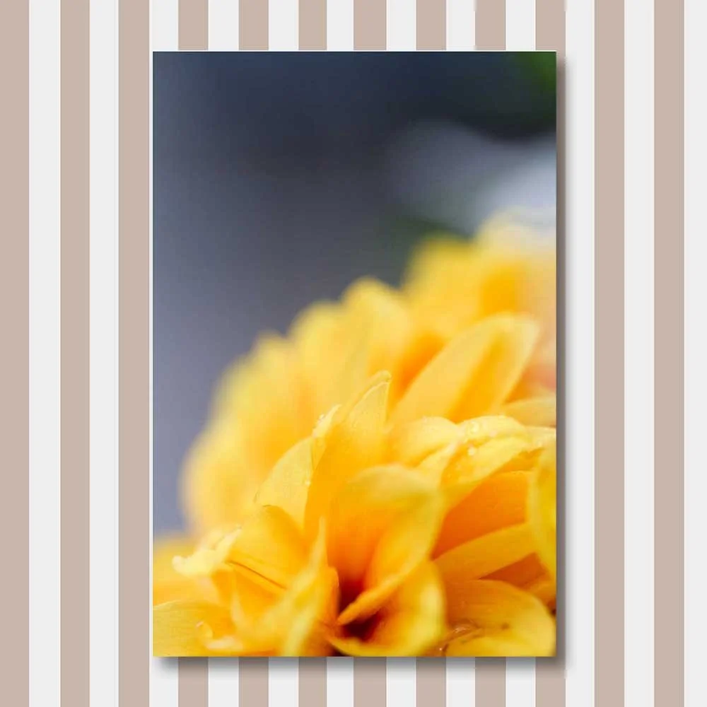 yellow-waves.jpg