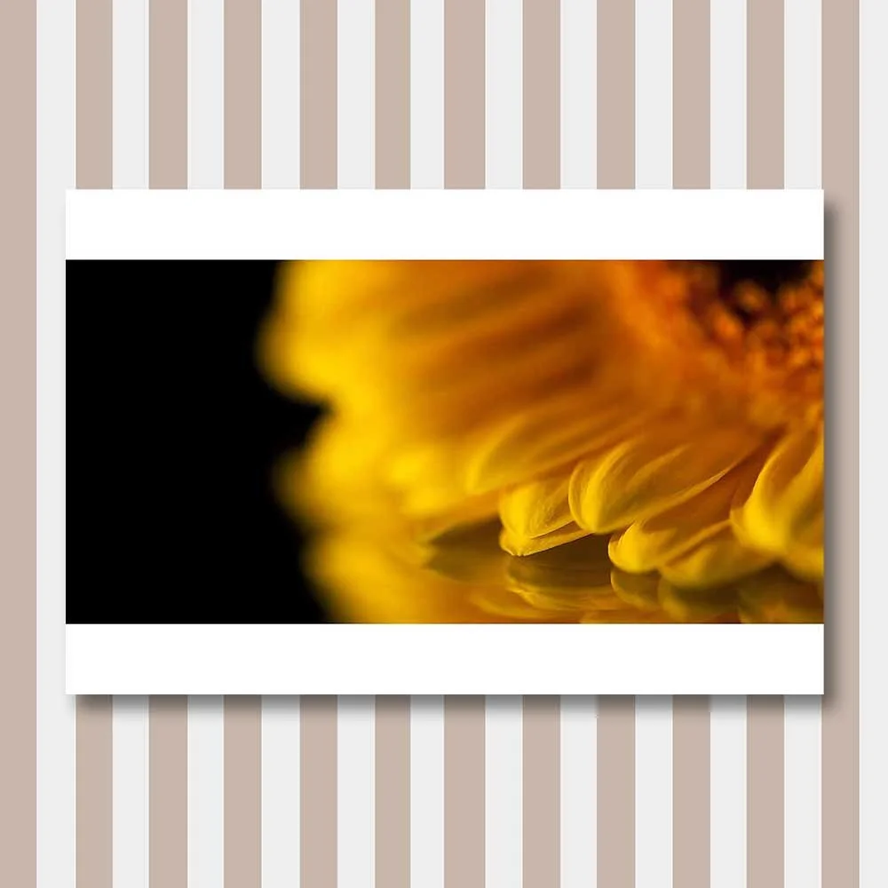 yellow-reflection.jpg