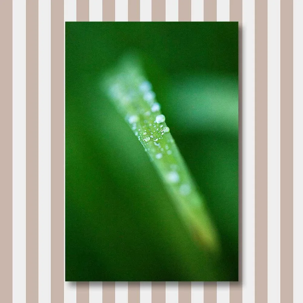 droplets.jpg