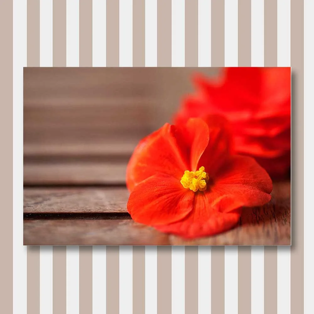 fallen-beauty.jpg