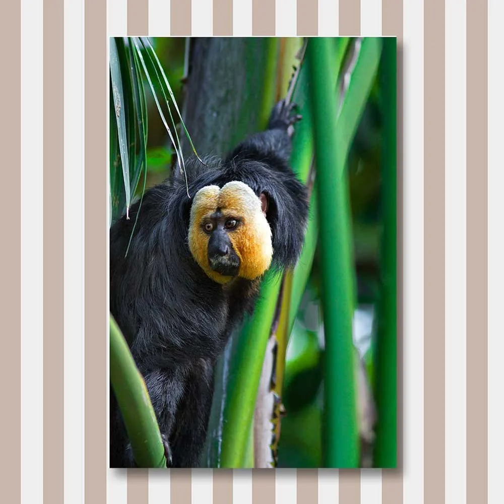 in-a-bamboo-jungle-copy.jpg