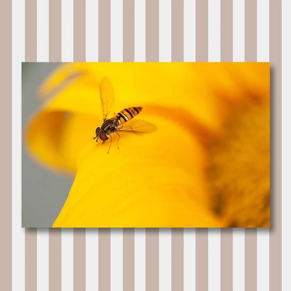 size is relative.jpg