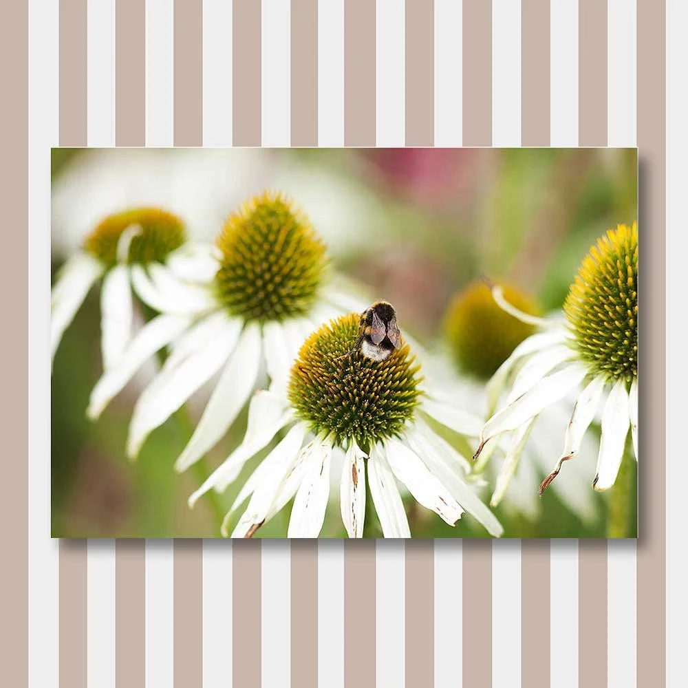 bumblebee-universe.jpg
