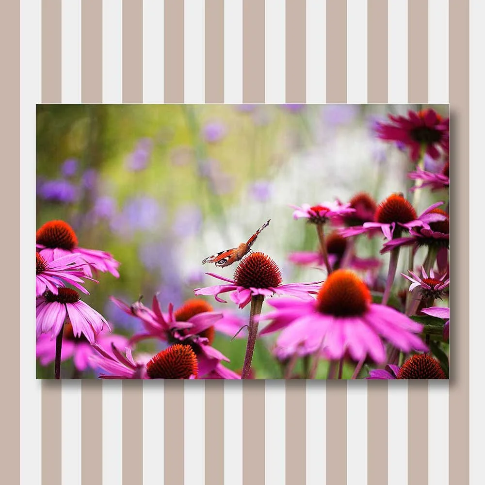 butterflies-jungle.jpg