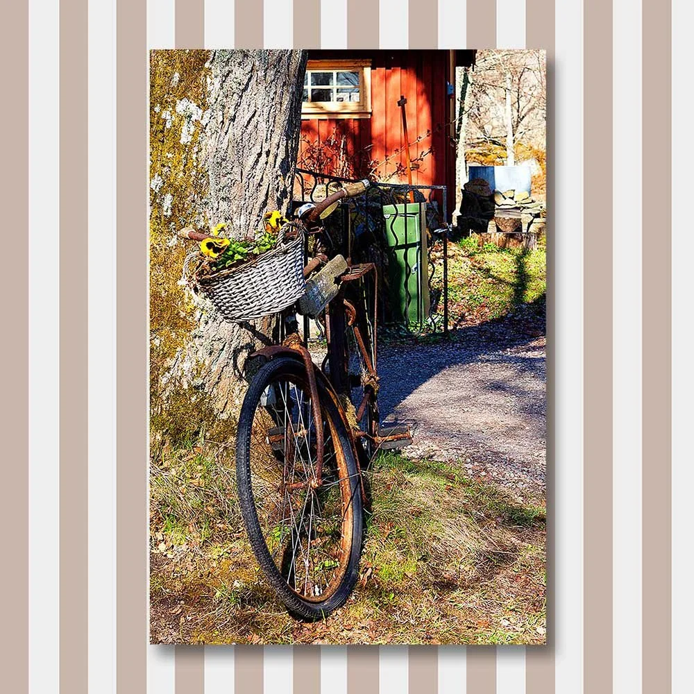 flower-bike.jpg