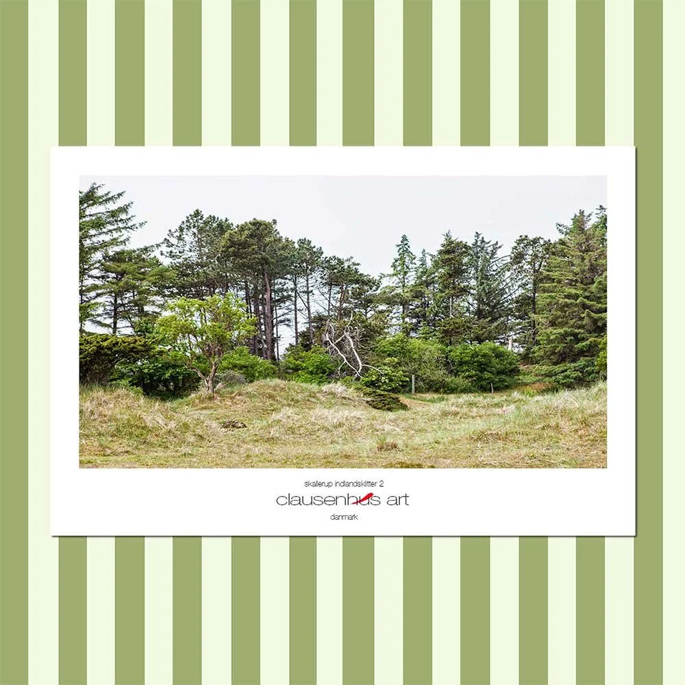 skallerup indlandsklitter 2.jpg