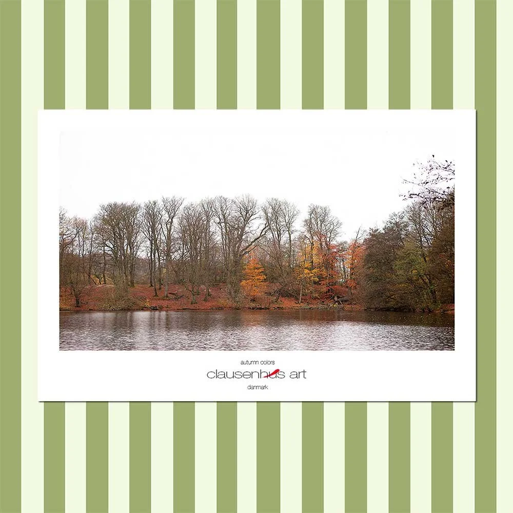 autumn colors.jpg