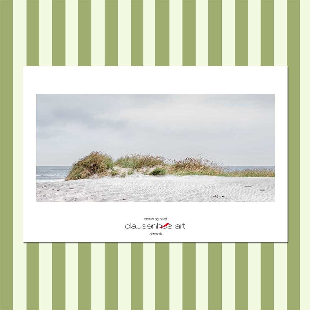 vinden og havet.jpg