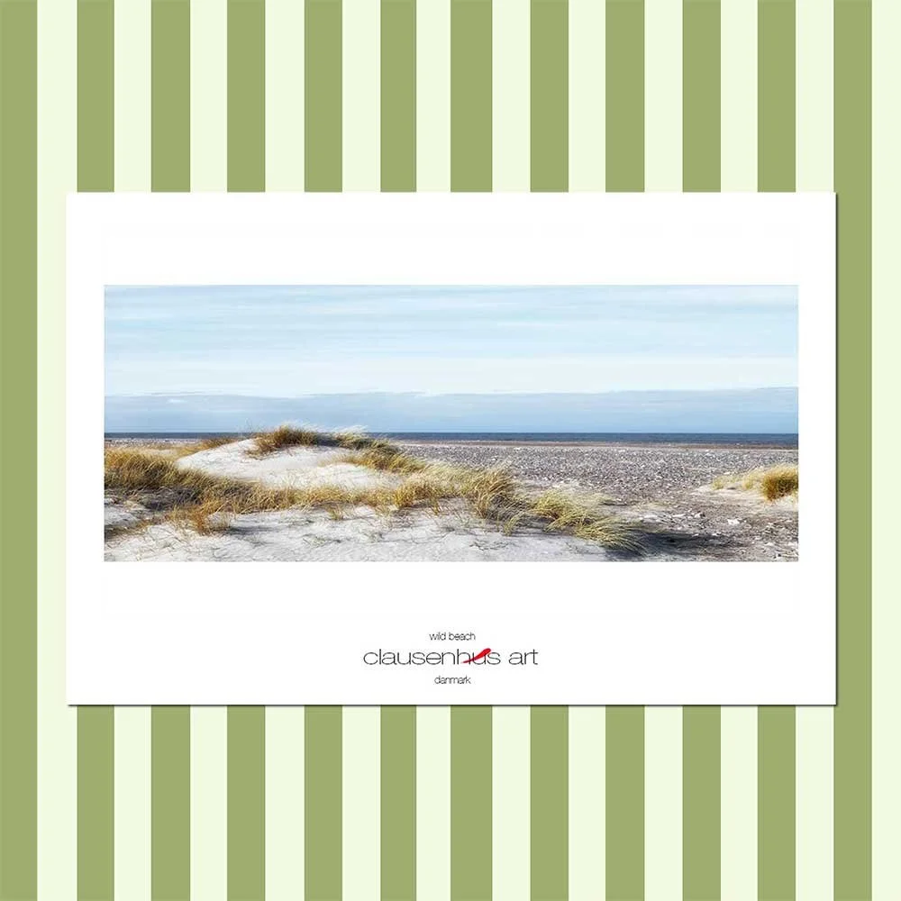 wild beach.jpg