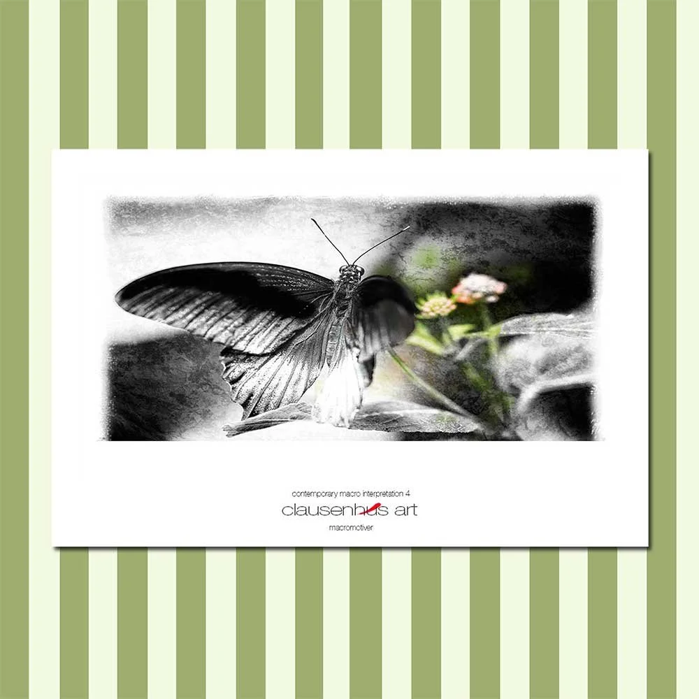 contemporary-macro-interpretation-4.jpg