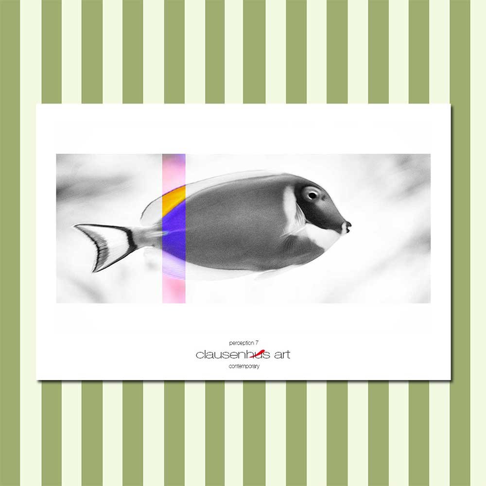 perception-7.jpg