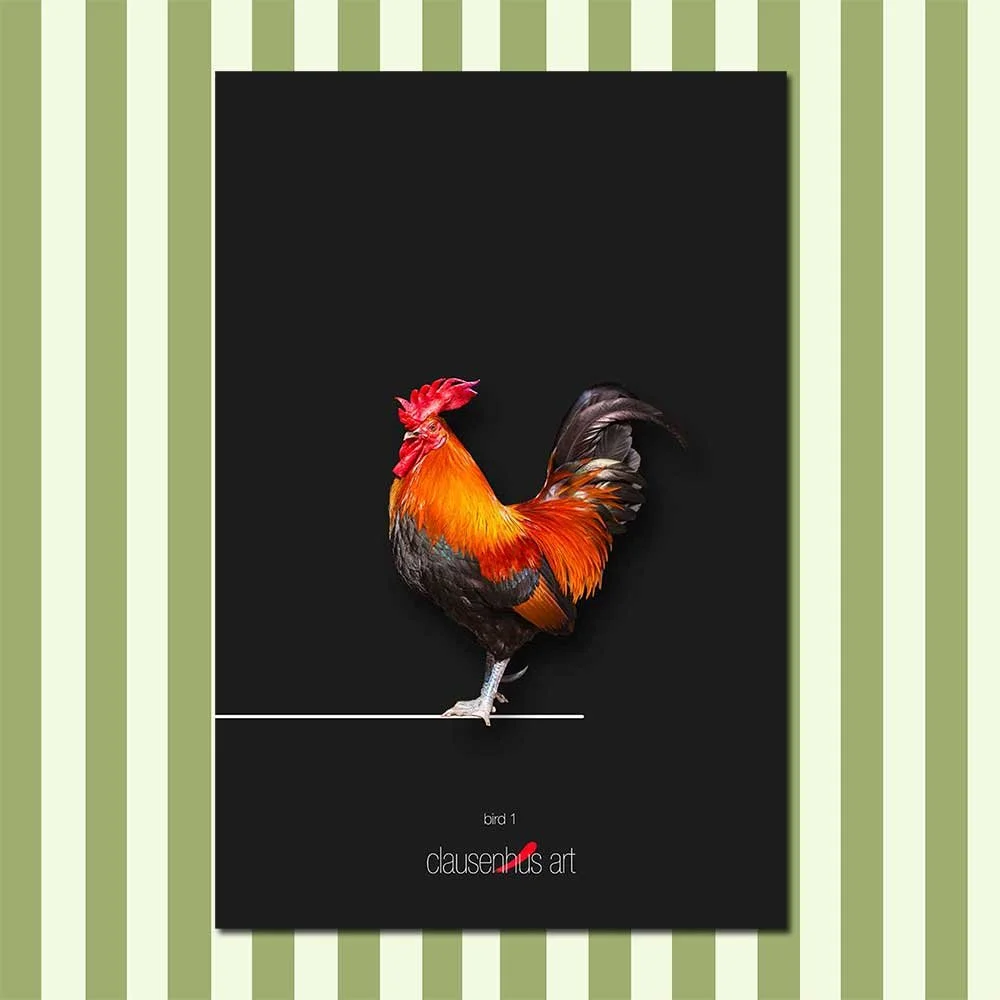 bird-1.jpg