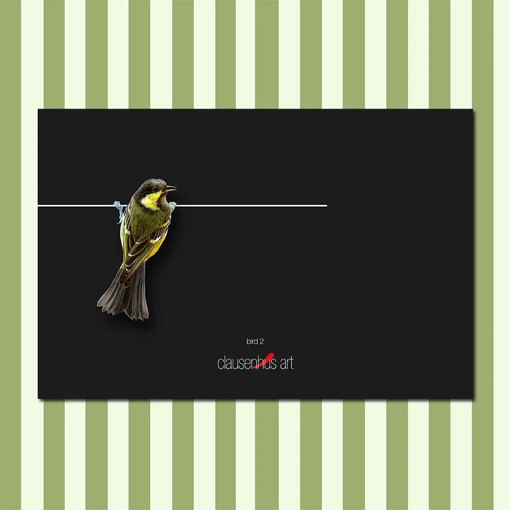 bird-2.jpg