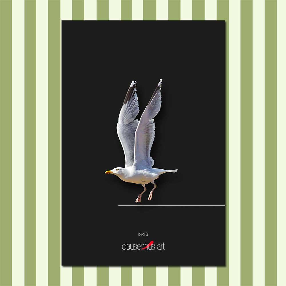bird-3.jpg