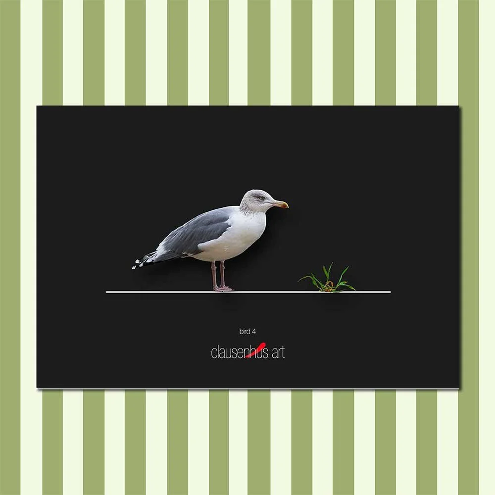 bird-4.jpg