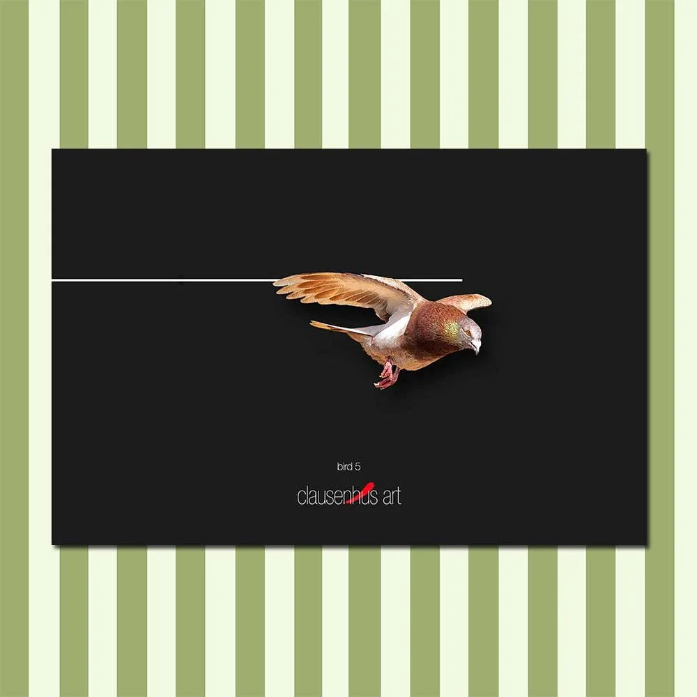bird-5.jpg