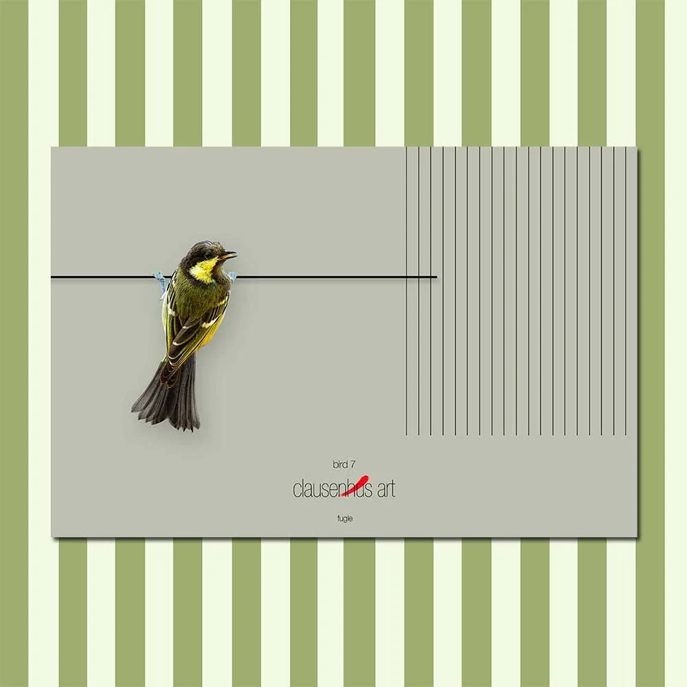 bird-7.jpg