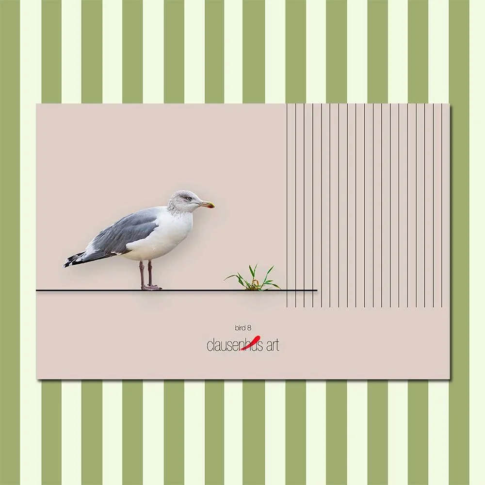 bird-8.jpg