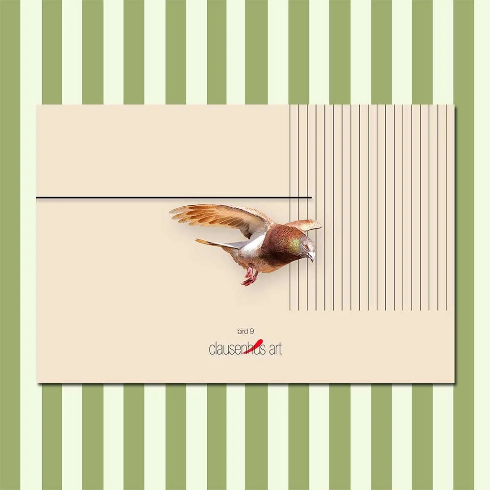 bird-9.jpg