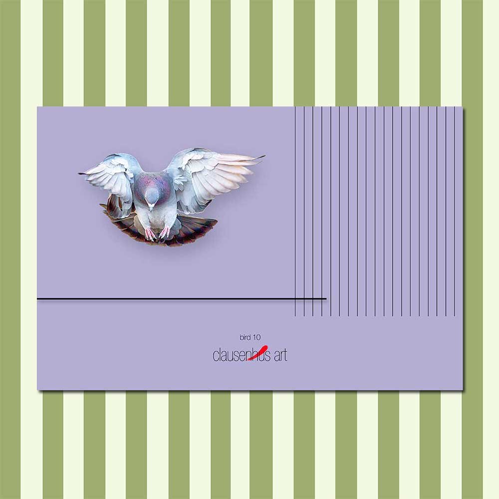 bird-10.jpg
