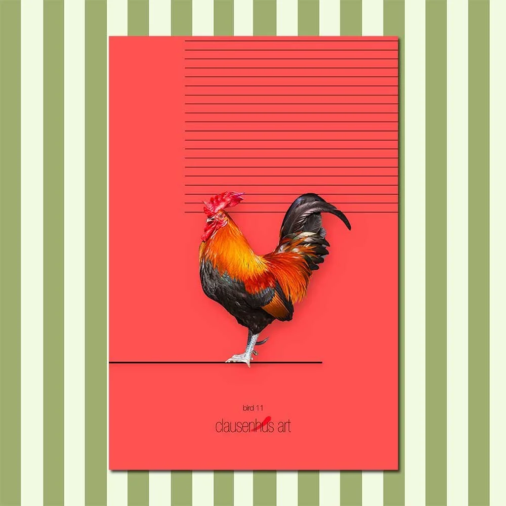 bird-11.jpg