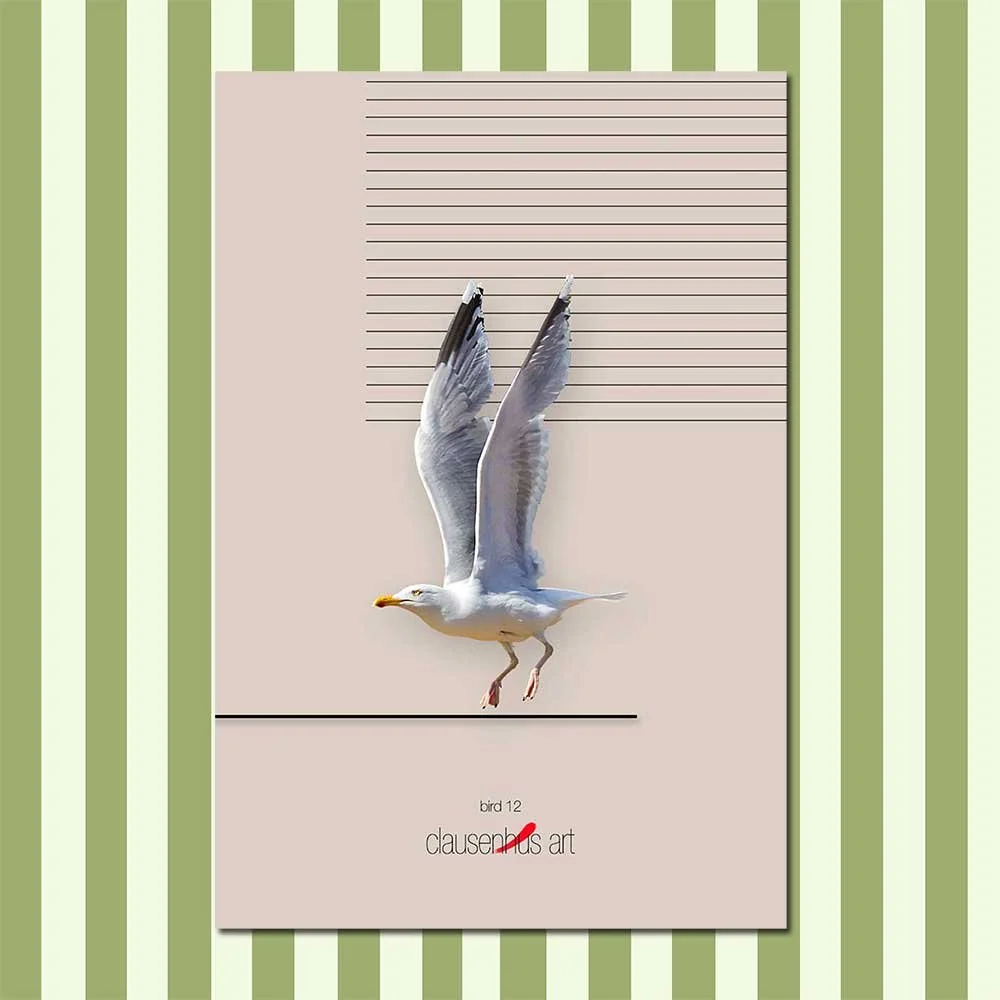 bird-12.jpg