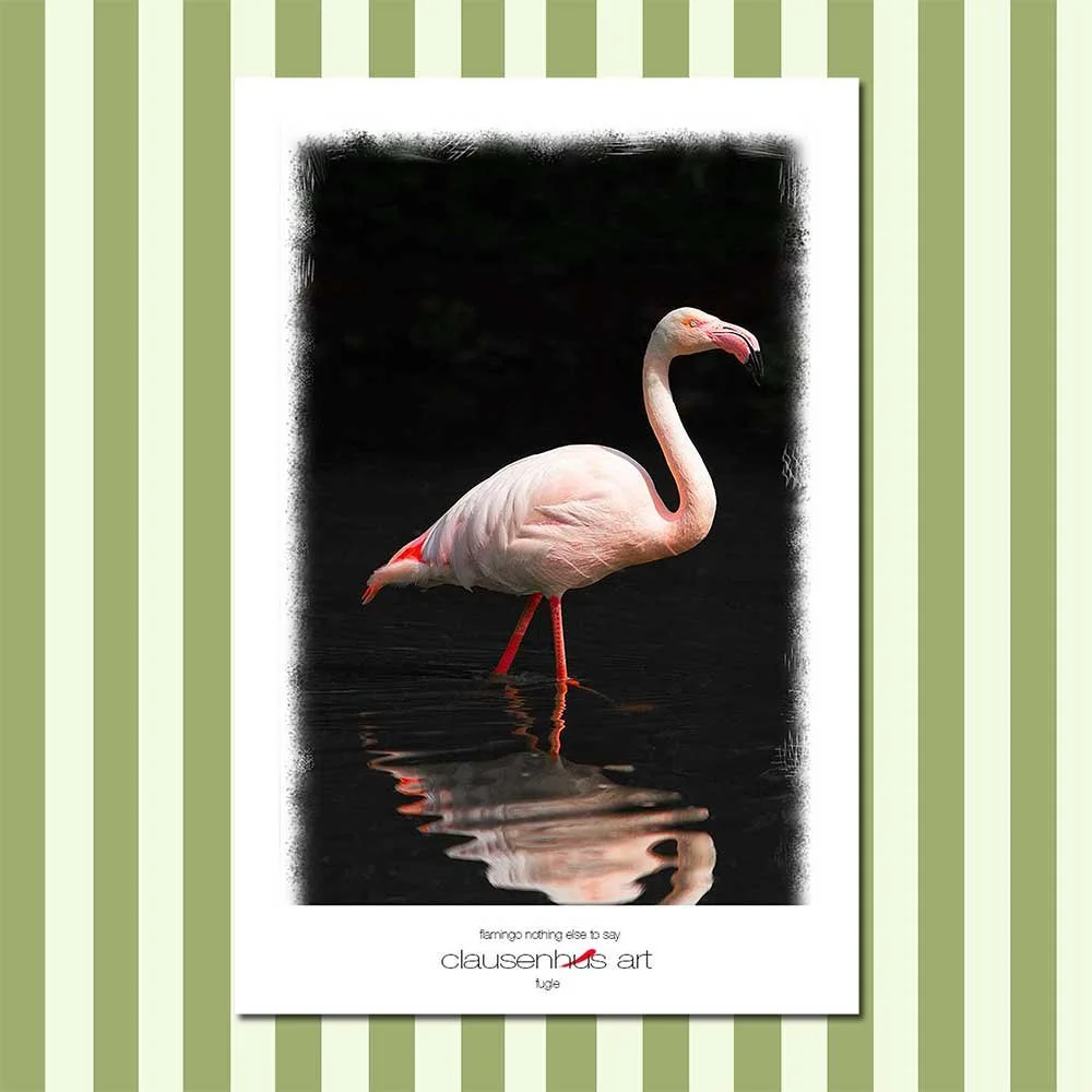 flamingo-nothing-else-to-say.jpg