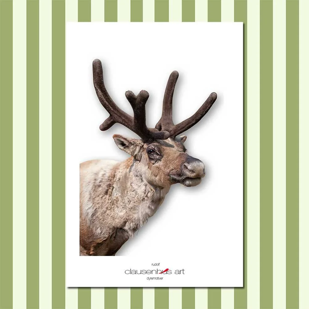 rudolf.jpg