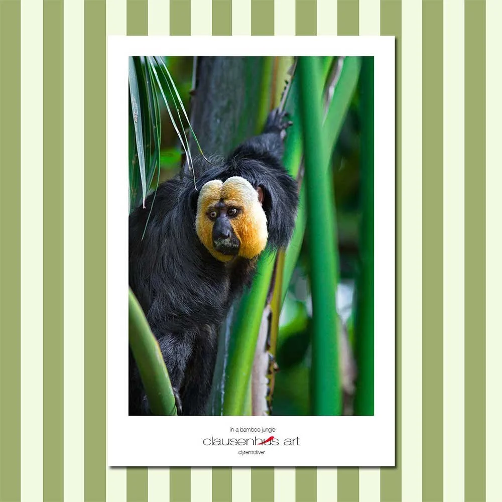 in-a-bamboo-jungle-copy.jpg