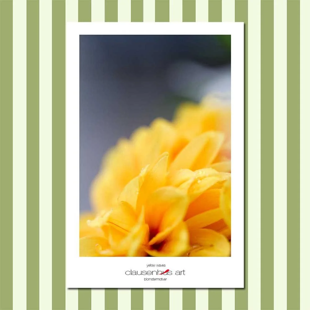 yellow-waves.jpg