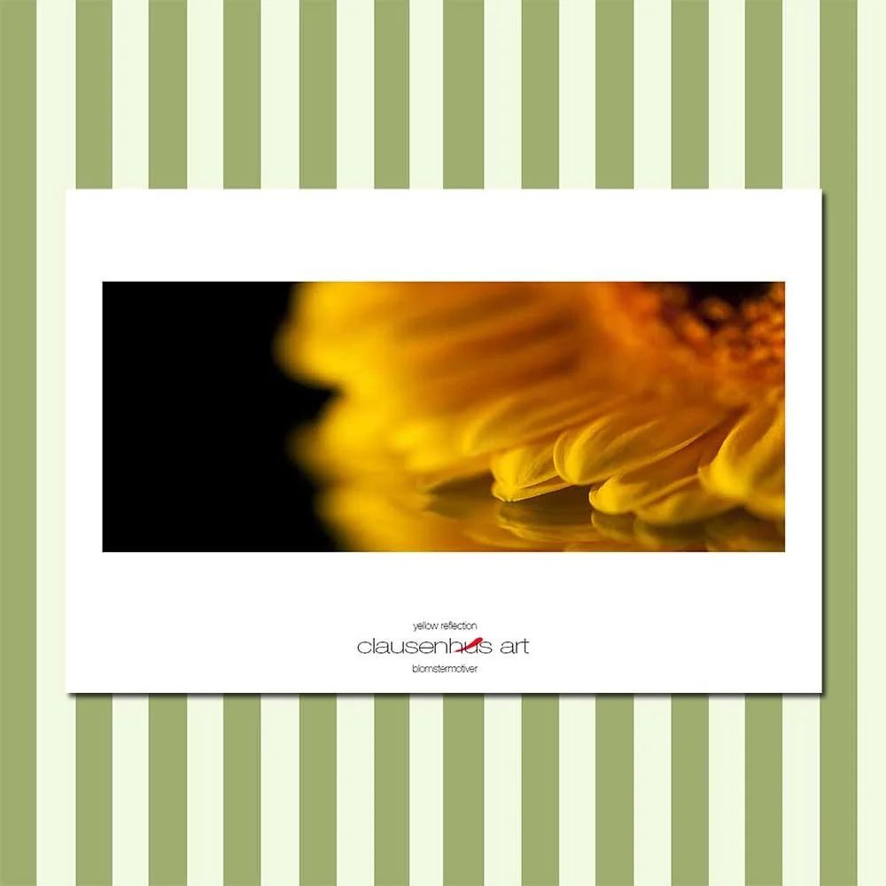 yellow-reflection.jpg